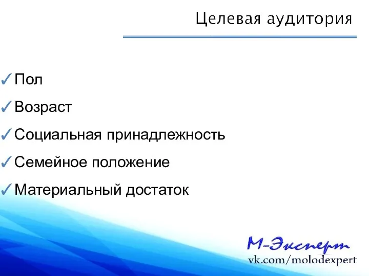 Пол Возраст Социальная принадлежность Семейное положение Материальный достаток