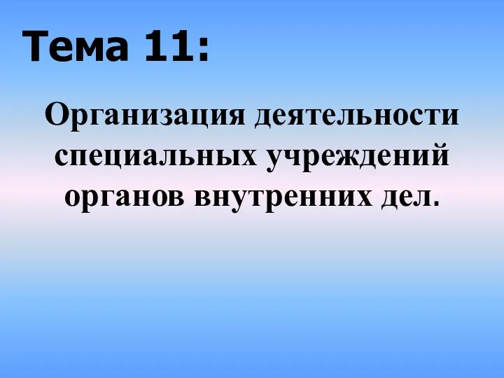 Организация деятельности специальных учреждений органов внутренних дел. Тема 11: