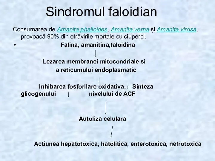 Sindromul faloidian Consumarea de Amanita phalloides, Amanita verna și Amanita virosa, provoacă 90%