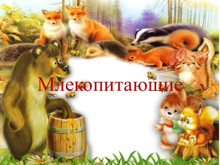 Млекопитающие