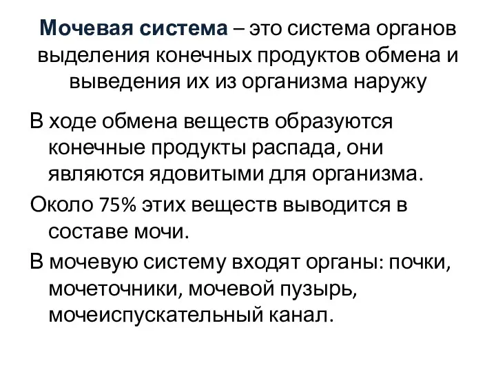 Мочевая система – это система органов выделения конечных продуктов обмена