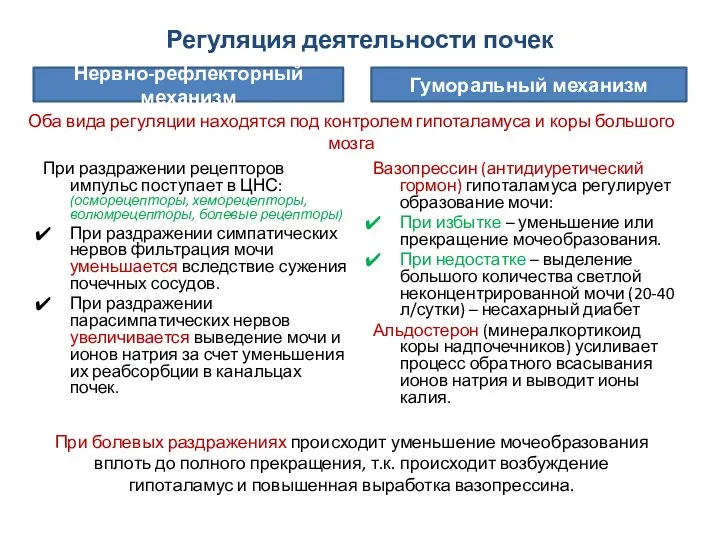 Регуляция деятельности почек При раздражении рецепторов импульс поступает в ЦНС: