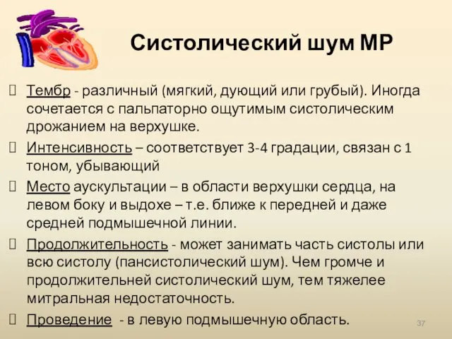 Систолический шум МР Тембр - различный (мягкий, дующий или грубый).