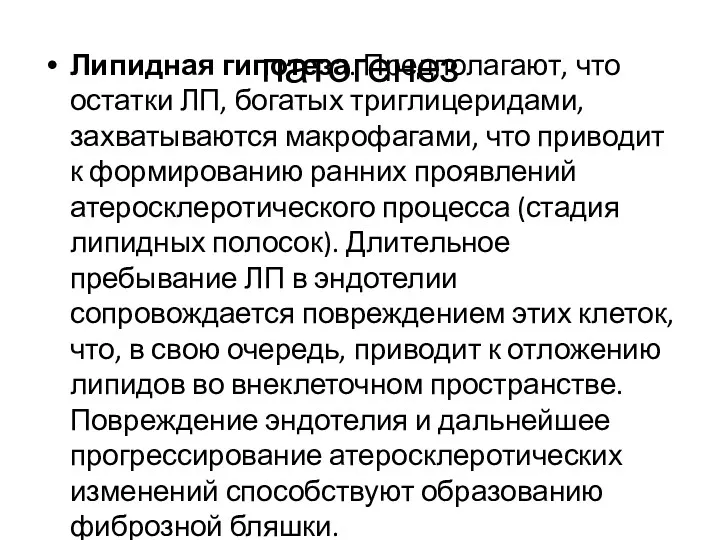 патогенез Липидная гипотеза. Предполагают, что остатки ЛП, богатых триглицеридами, захватываются