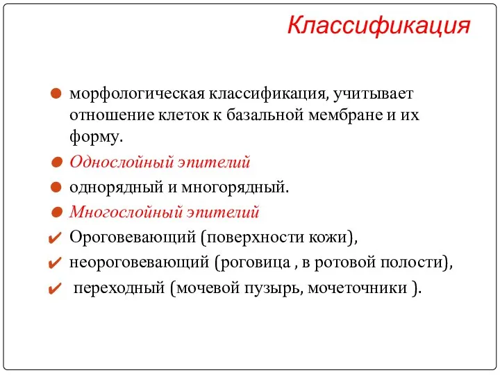 Классификация морфологическая классификация, учитывает отношение клеток к базальной мембране и