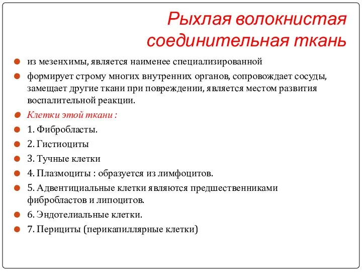 Рыхлая волокнистая соединительная ткань из мезенхимы, является наименее специализированной формирует