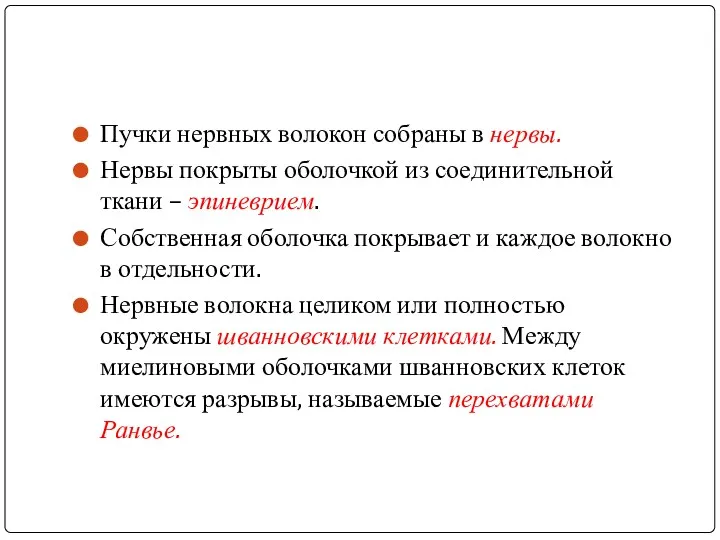 Пучки нервных волокон собраны в нервы. Нервы покрыты оболочкой из