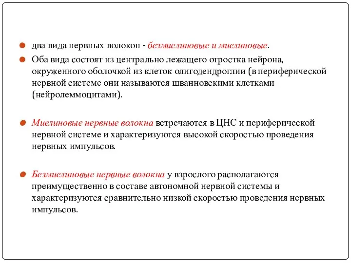 два вида нервных волокон - безмиелиновые и миелиновые. Оба вида