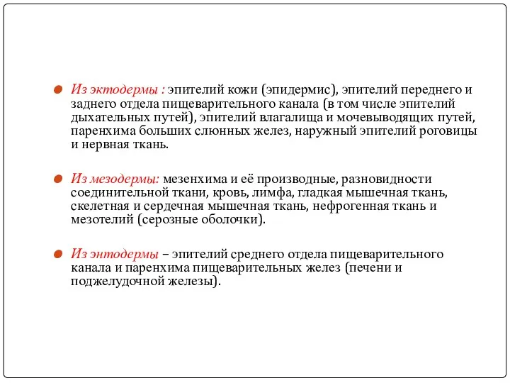 Из эктодермы : эпителий кожи (эпидермис), эпителий переднего и заднего