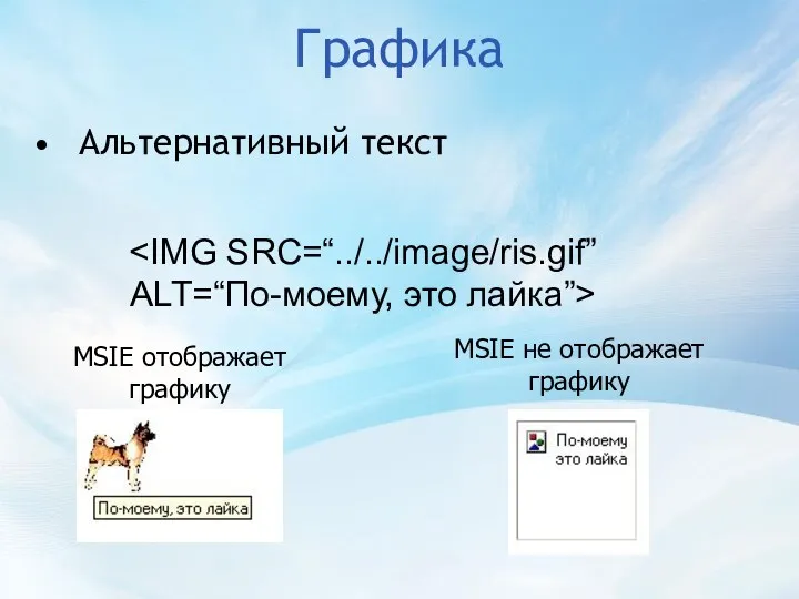 Графика Альтернативный текст ALT=“По-моему, это лайка”> MSIE отображает графику MSIE не отображает графику