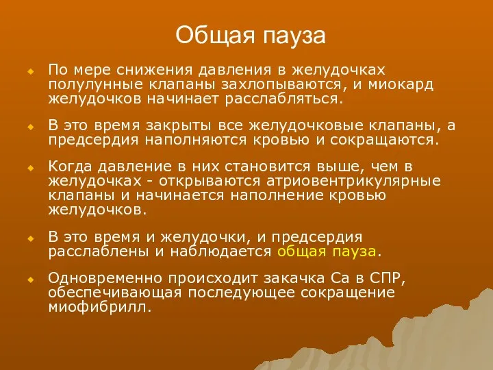 Общая пауза По мере снижения давления в желудочках полулунные клапаны