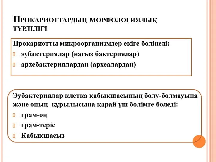 Прокариоттардың морфологиялық түрлілігі Прокариотты микроорганизмдер екіге бөлінеді: эубактериялар (нағыз бактериялар)