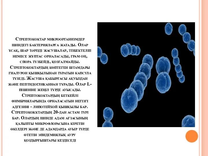 Стрептококтар микроорганизмдер ішіндегі бактерияларға жатады. Олар ұсақ, шар тәрізді жасушалар,