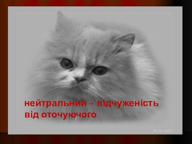 нейтральний – відчуженість від оточуючого