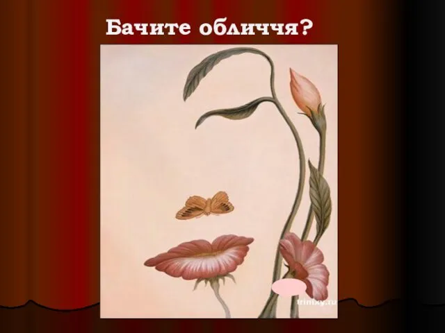 Бачите обличчя?