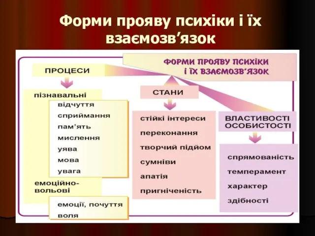 Форми прояву психіки і їх взаємозв’язок