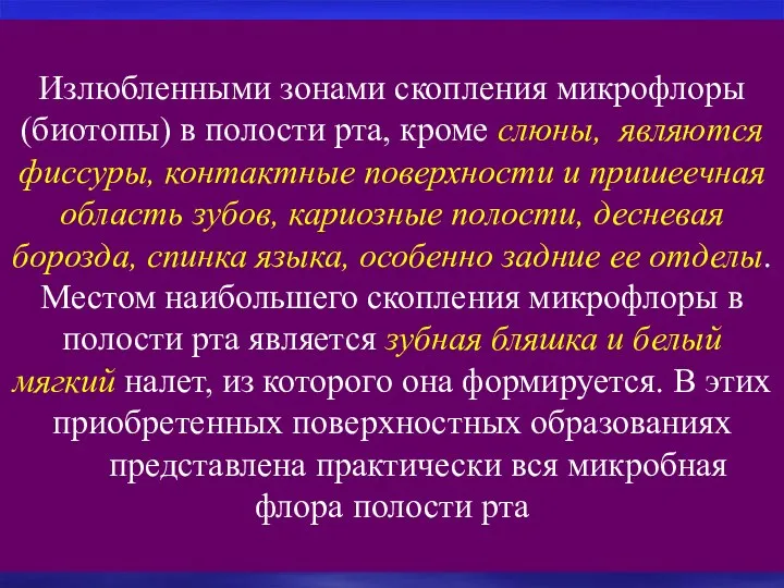 Излюбленными зонами скопления микрофлоры (биотопы) в полости рта, кроме слюны,