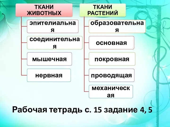 Рабочая тетрадь с. 15 задание 4, 5