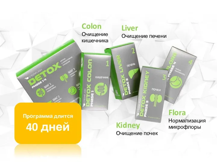 Colon Очищение кишечника Liver Очищение печени Kidney Очищение почек Flora Нормализация микрофлоры Программа длится 40 дней