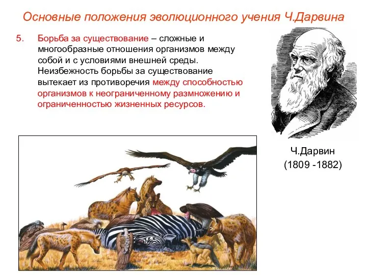 Основные положения эволюционного учения Ч.Дарвина Ч.Дарвин (1809 -1882) Борьба за