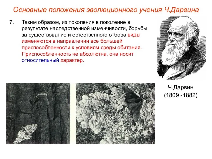 Основные положения эволюционного учения Ч.Дарвина Ч.Дарвин (1809 -1882) Таким образом,