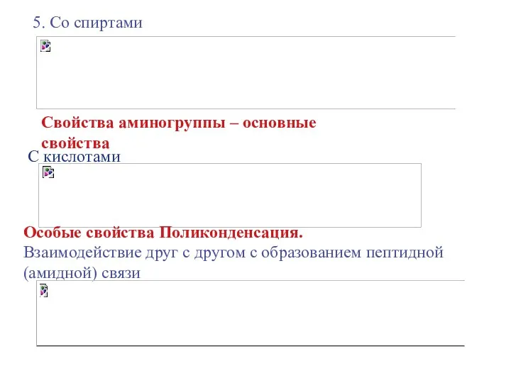 5. Со спиртами Свойства аминогруппы – основные свойства С кислотами