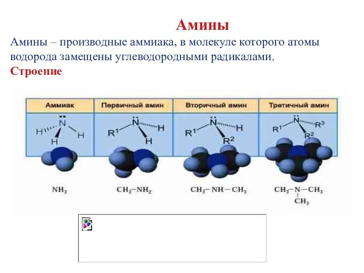 Амины Амины – производные аммиака, в молекуле которого атомы водорода замещены углеводородными радикалами. Строение