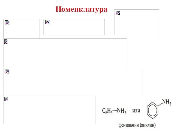 Номенклатура