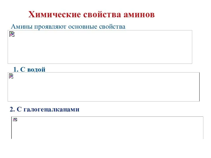 Химические свойства аминов Амины проявляют основные свойства 1. С водой 2. С галогеналканами