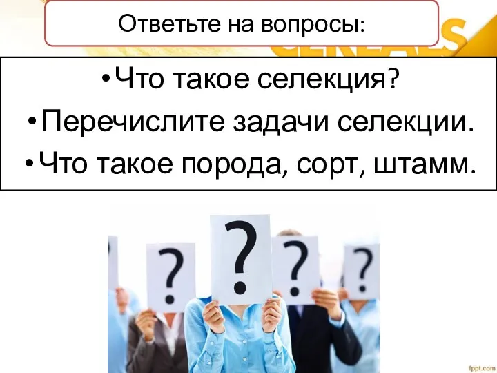 Ответьте на вопросы: Что такое селекция? Перечислите задачи селекции. Что такое порода, сорт, штамм.