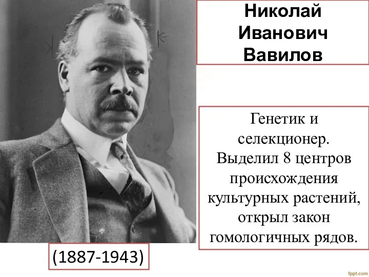 Николай Иванович Вавилов Генетик и селекционер. Выделил 8 центров происхождения