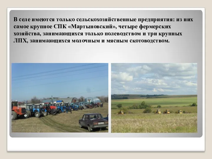 В селе имеются только сельскохозяйственные предприятия: из них самое крупное СПК «Мартыновский», четыре