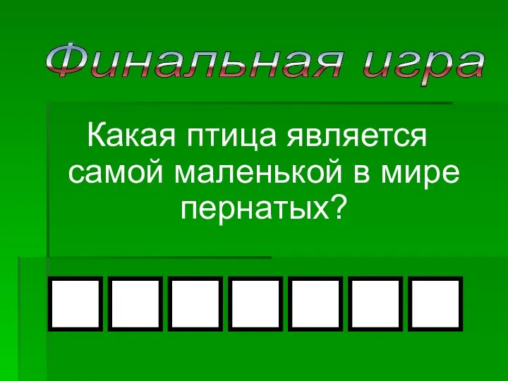 Какая птица является самой маленькой в мире пернатых? Финальная игра