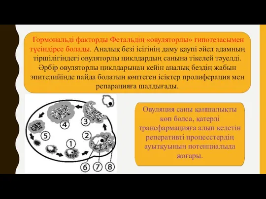 Гормональді факторды Фетальдің «овуляторлы» гипотезасымен түсіндірсе болады. Аналық безі ісігінің