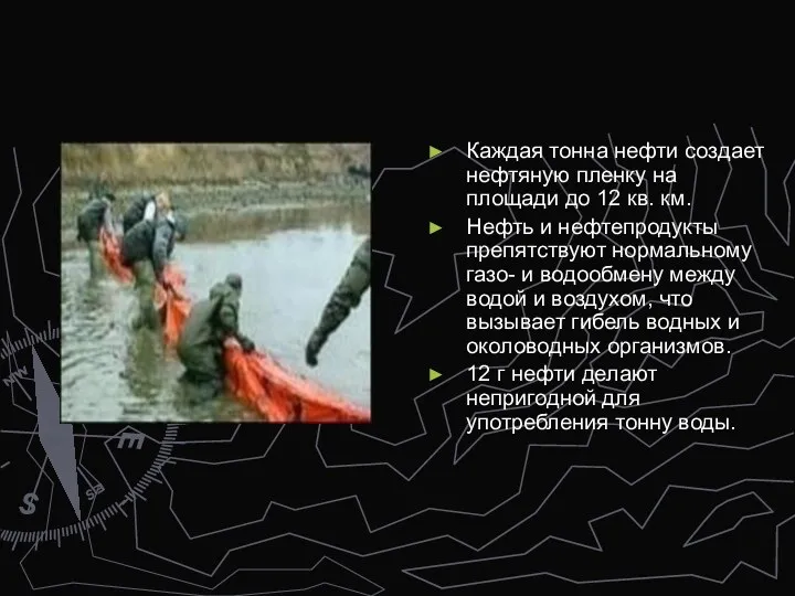 Каждая тонна нефти создает нефтяную пленку на площади до 12