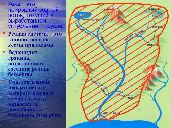 Река – это природный водный поток, текущий в выработанном углублении