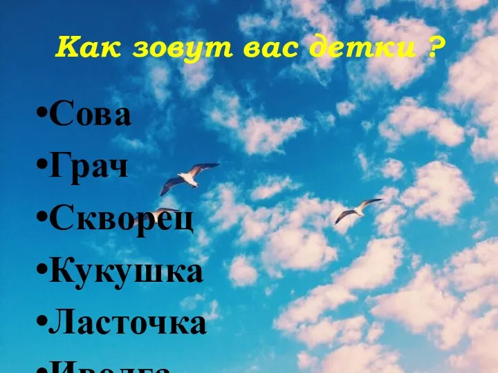 Как зовут вас детки ? Сова Грач Скворец Кукушка Ласточка Иволга Зяблик со