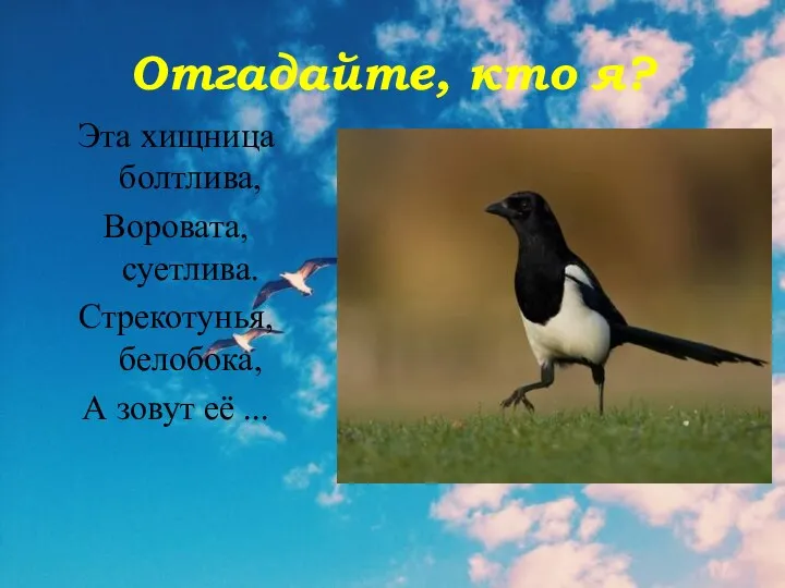 Отгадайте, кто я? Эта хищница болтлива, Воровата, суетлива. Стрекотунья, белобока, А зовут её ...