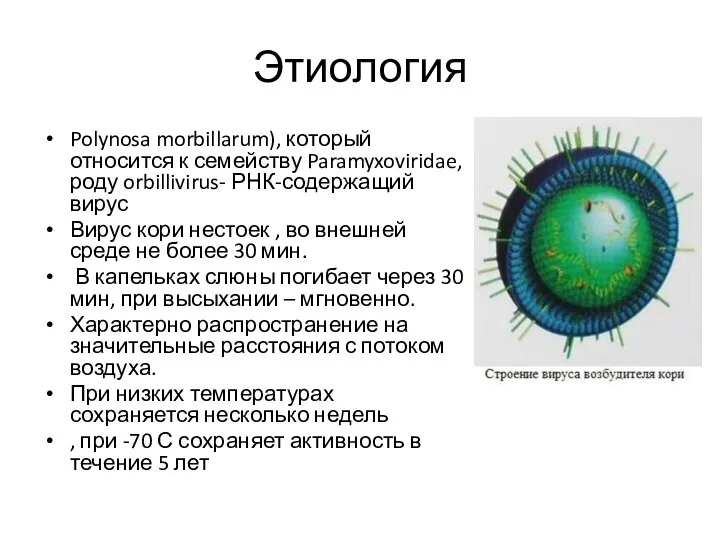 Этиология Polynosa morbillarum), который относится к семейству Paramyxoviridae, роду orbillivirus-