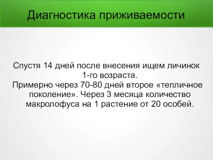 Диагностика приживаемости Спустя 14 дней после внесения ищем личинок 1-го