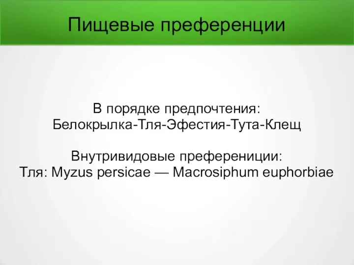 Пищевые преференции В порядке предпочтения: Белокрылка-Тля-Эфестия-Тута-Клещ Внутривидовые преферениции: Тля: Myzus persicae — Macrosiphum euphorbiae