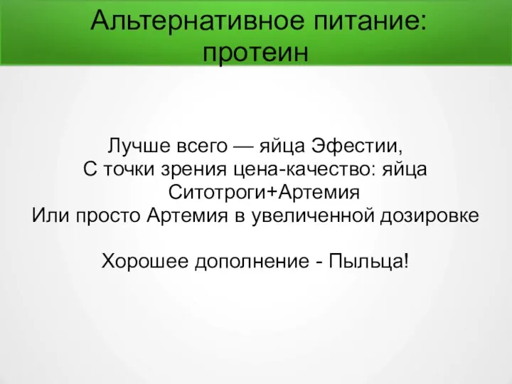 Альтернативное питание: протеин Лучше всего — яйца Эфестии, С точки