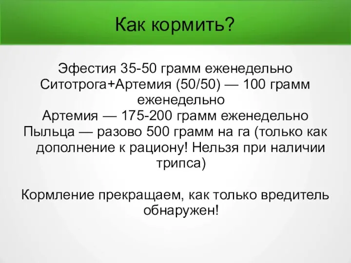 Как кормить? Эфестия 35-50 грамм еженедельно Ситотрога+Артемия (50/50) — 100