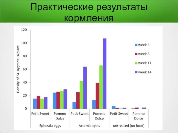 Практические результаты кормления