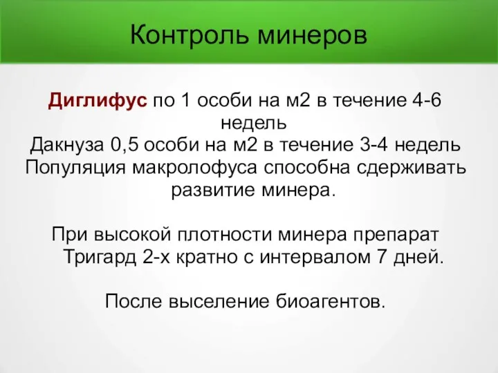 Контроль минеров Диглифус по 1 особи на м2 в течение