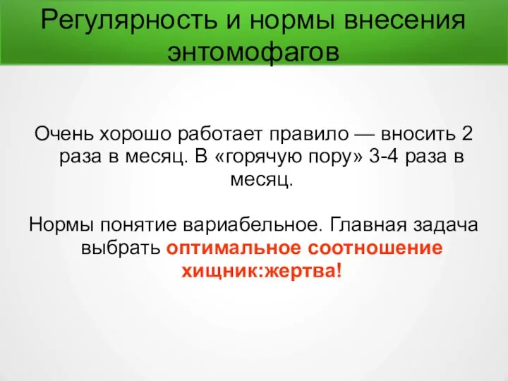 Регулярность и нормы внесения энтомофагов Очень хорошо работает правило —