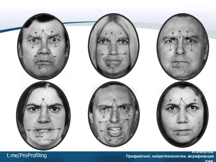 t.me/ProProfiling А.Филатов. Профайлинг, нейротехнологии, верификация лжи.