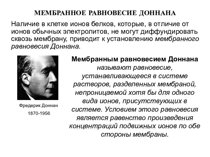 МЕМБРАННОЕ РАВНОВЕСИЕ ДОННАНА Наличие в клетке ионов белков, которые, в