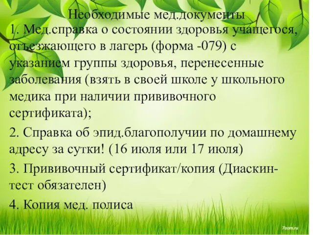 1. Мед.справка о состоянии здоровья учащегося, отъезжающего в лагерь (форма