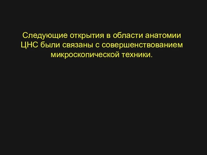 Следующие открытия в области анатомии ЦНС были связаны с совершенствованием микроскопической техники.